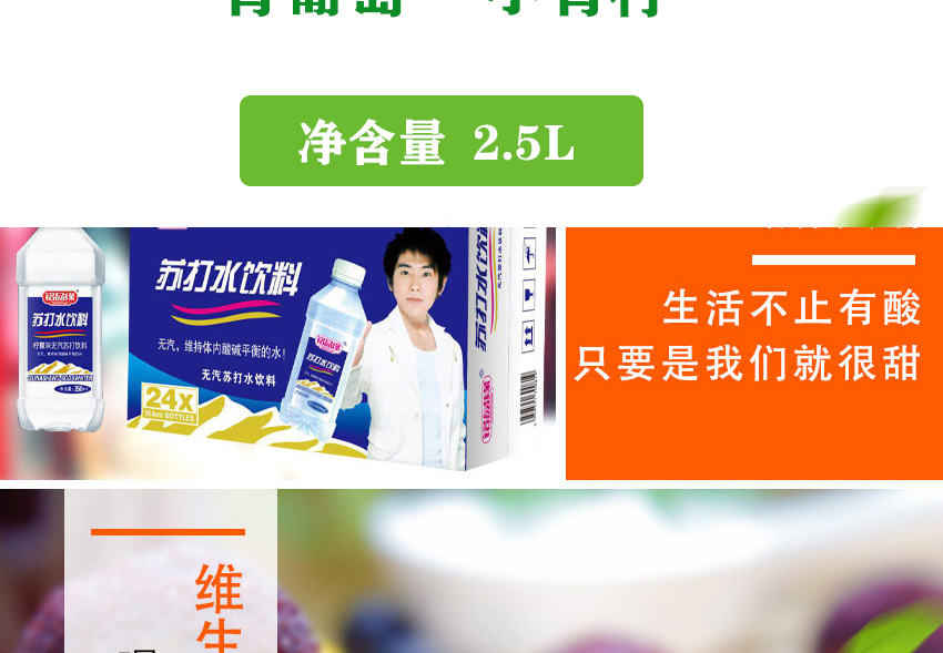 濟源市冠盛食品有限公司-公司畫冊_13