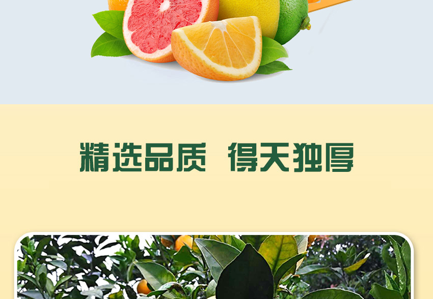 濟源市冠盛食品有限公司-公司畫冊_09