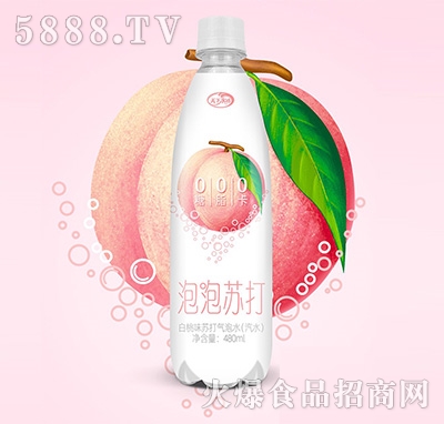 ˮKζKˮ480ml