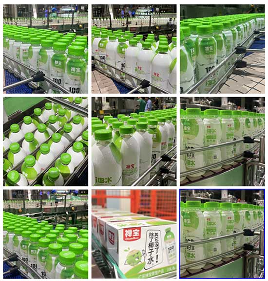 廣東禪寶飲料有限公司 廣東禪寶飲料有限公司