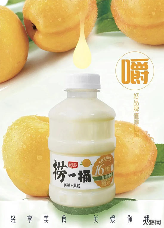 初養撈一桶乳酸菌-(4) 初養撈一桶乳酸菌-(4)
